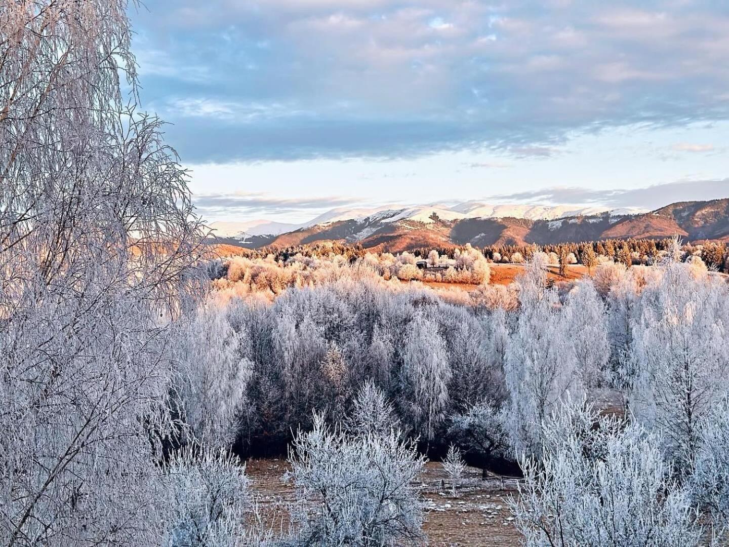 Pensiunea Gradina Ascunsa Bughea de Jos Екстер'єр фото