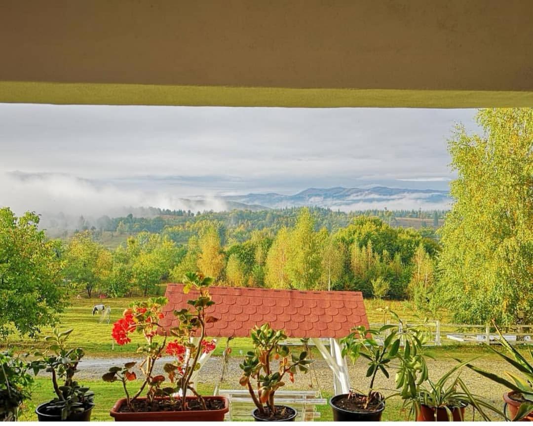 Pensiunea Gradina Ascunsa Bughea de Jos Екстер'єр фото